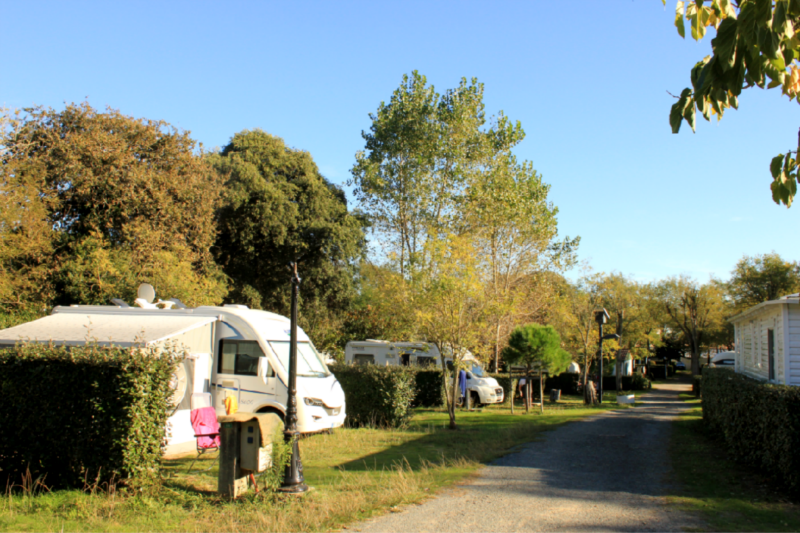 Camping Les Gros-joncs *****