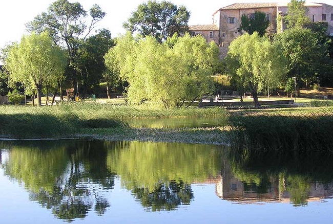 Le Camping du lac **